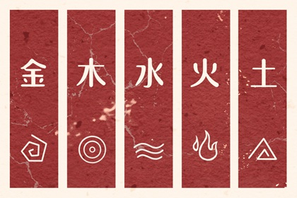 海外华人与纳音的联系
